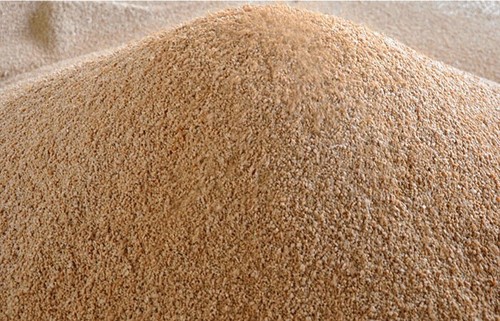 Nocciolino sansa vergine - nocciolino, di